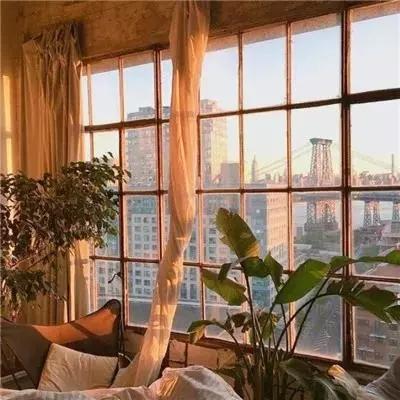 举重若轻，灵活兼容，菲尼克斯电...