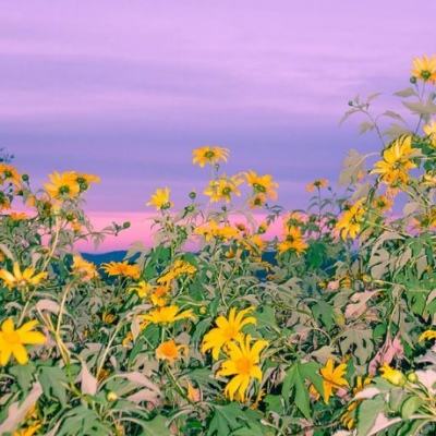 张雪峰去世后公司怎么办？峰学蔚来总经理：公司正常运营团队稳定